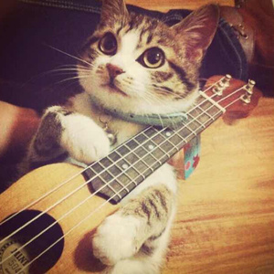 俺来啦俺就去www色情网
